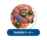 免疫抑制マーカー