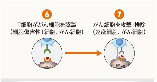 文献1より作成