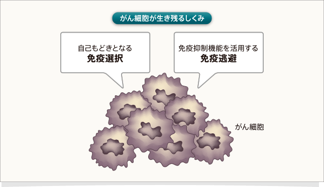 文献1,2より作成