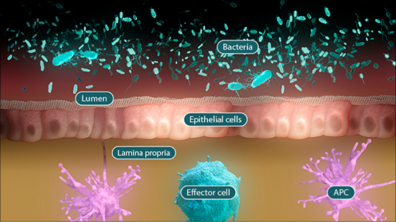 microbiome image